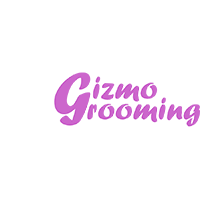 Marketar Tuzla - Vaš marketing partner